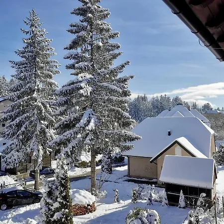 Zlatiborske Noci Apartmán