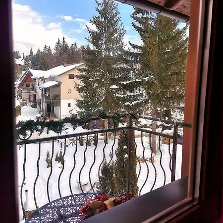 Zlatiborske Noci * Zlatibor