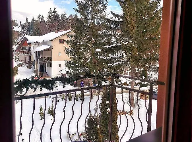 Zlatiborske Noci * Zlatibor